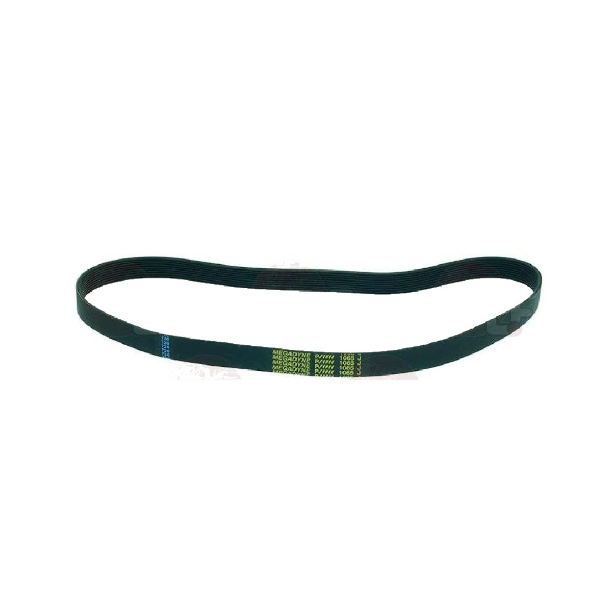 Sammic BE-20I 2504632 Drive Belt