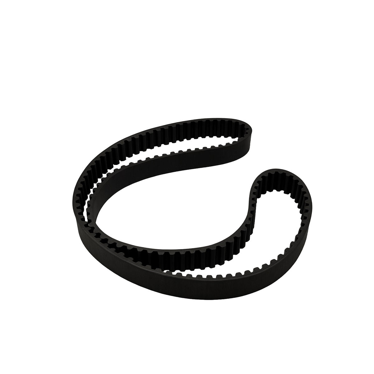Rayco RG37 761438 Polychain Belt