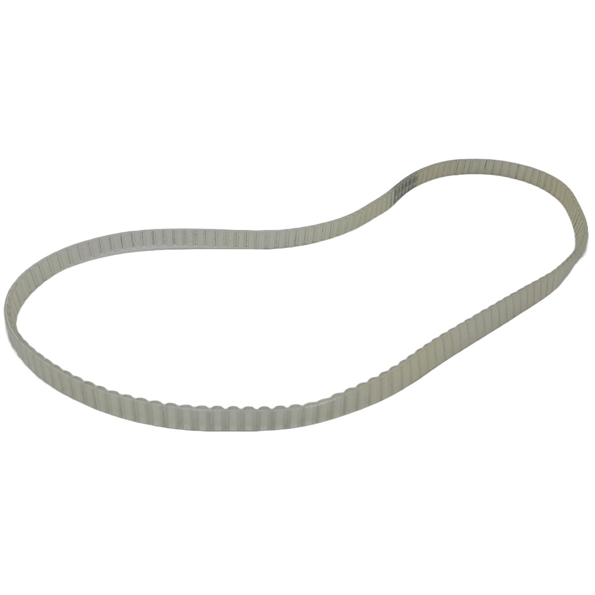 D169 Belt
