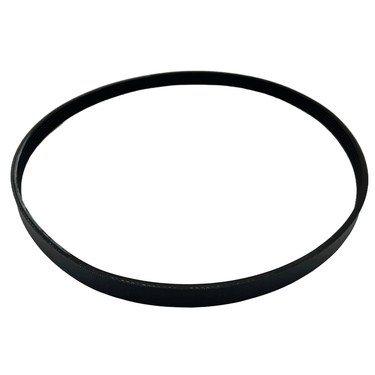 544908406 Belt