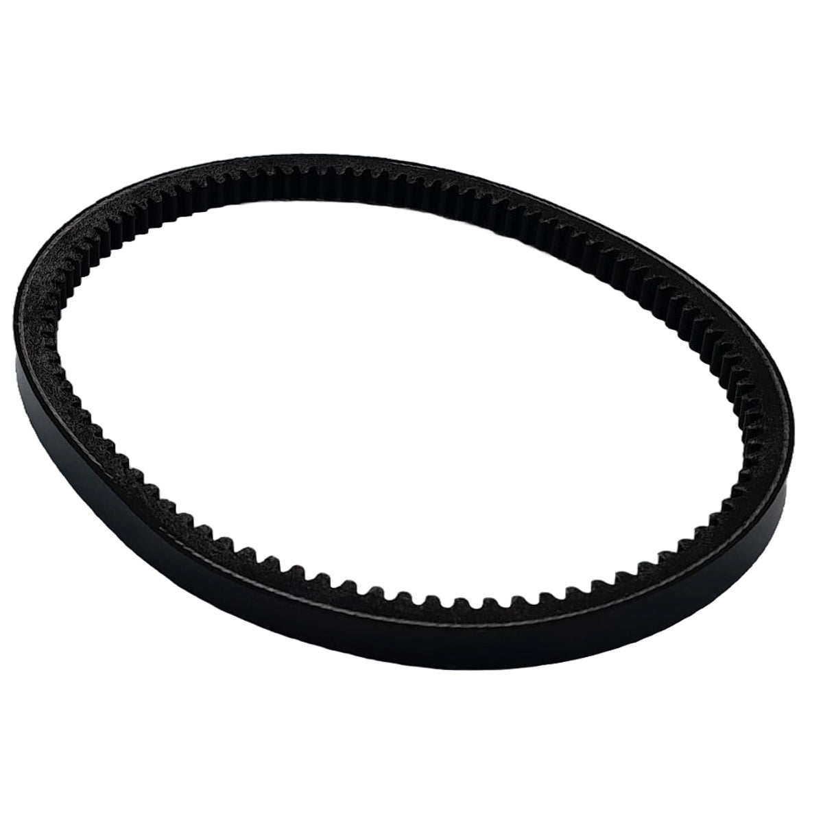 Hayter Harrier 56 Pro Autodrive FS BBC 579A 110-1790 Blade, Brake, Clutch Belt