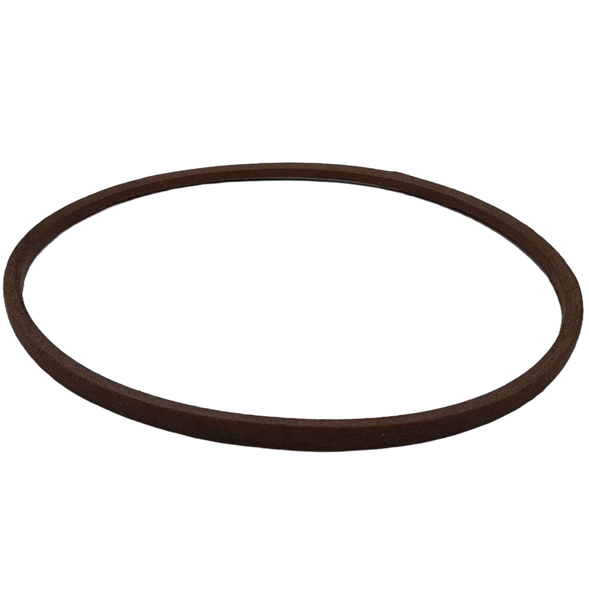 501 38 19-01 Belt